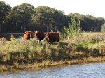 Doorbraak